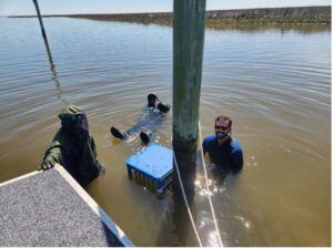 staff replacing equipment in water