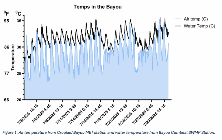 graph showing temperature trend
