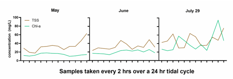 graph showing TSS and Chl-a concentrations