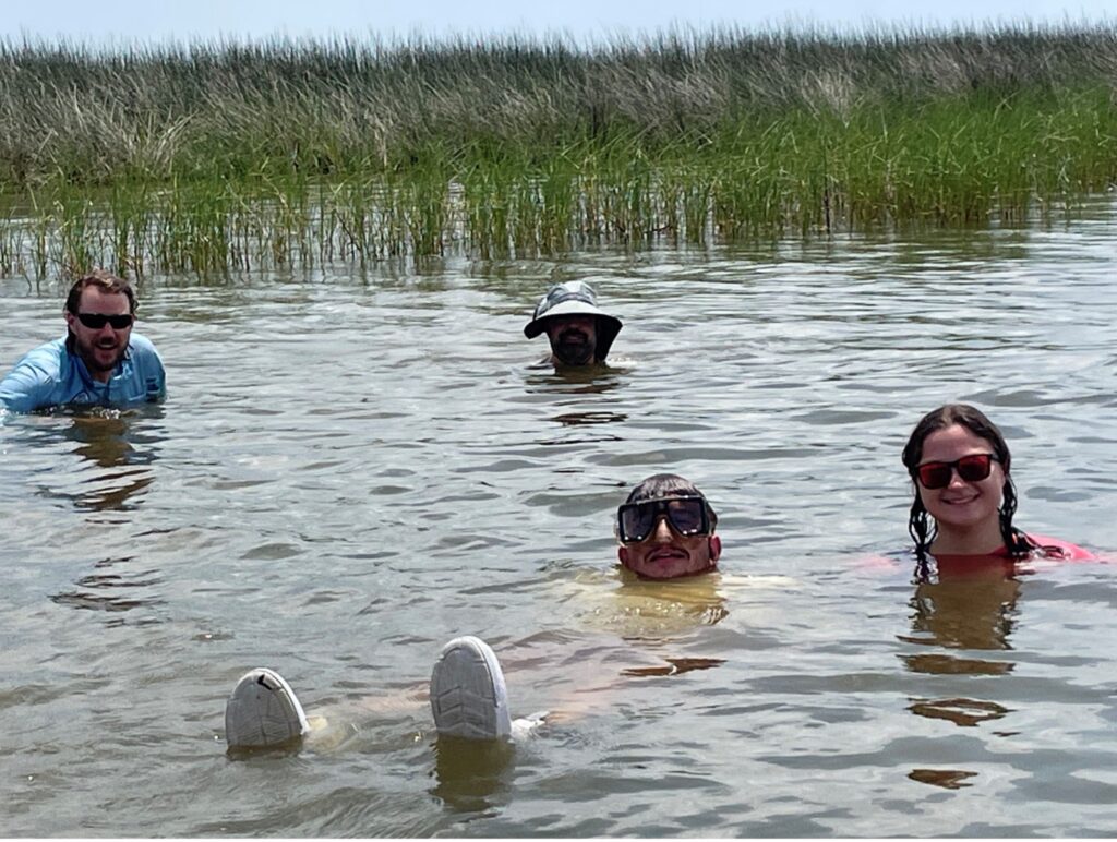 photo of scientists swimming in a marsh
