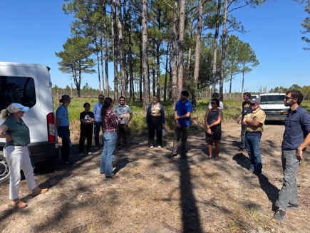 group of people near pine trees