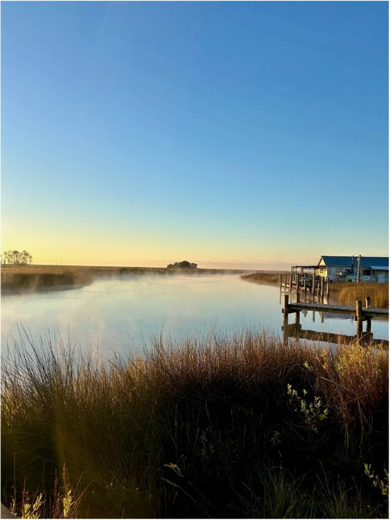photo of a marsh with fog on the water