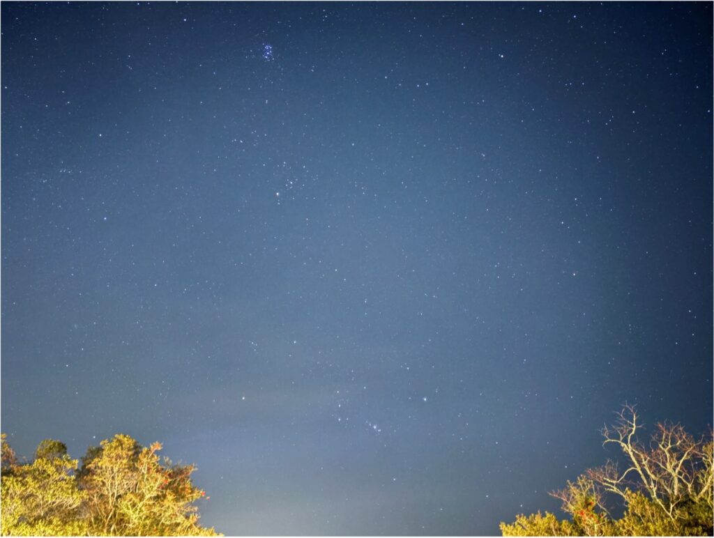 Photo of the night sky with trees and stars