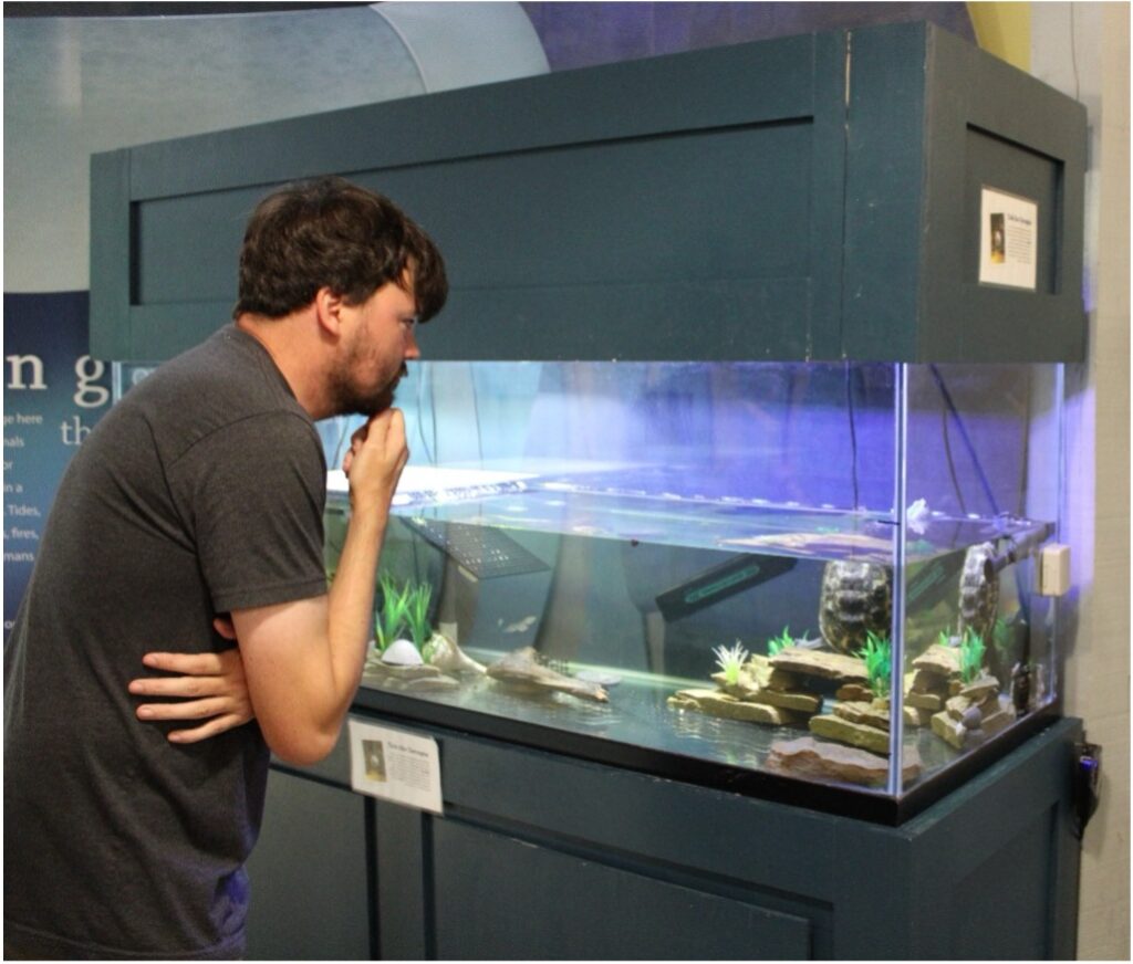 A man looking at a turtle in an aquarium