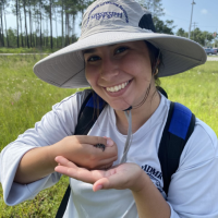 Juliana Heise_oak toad